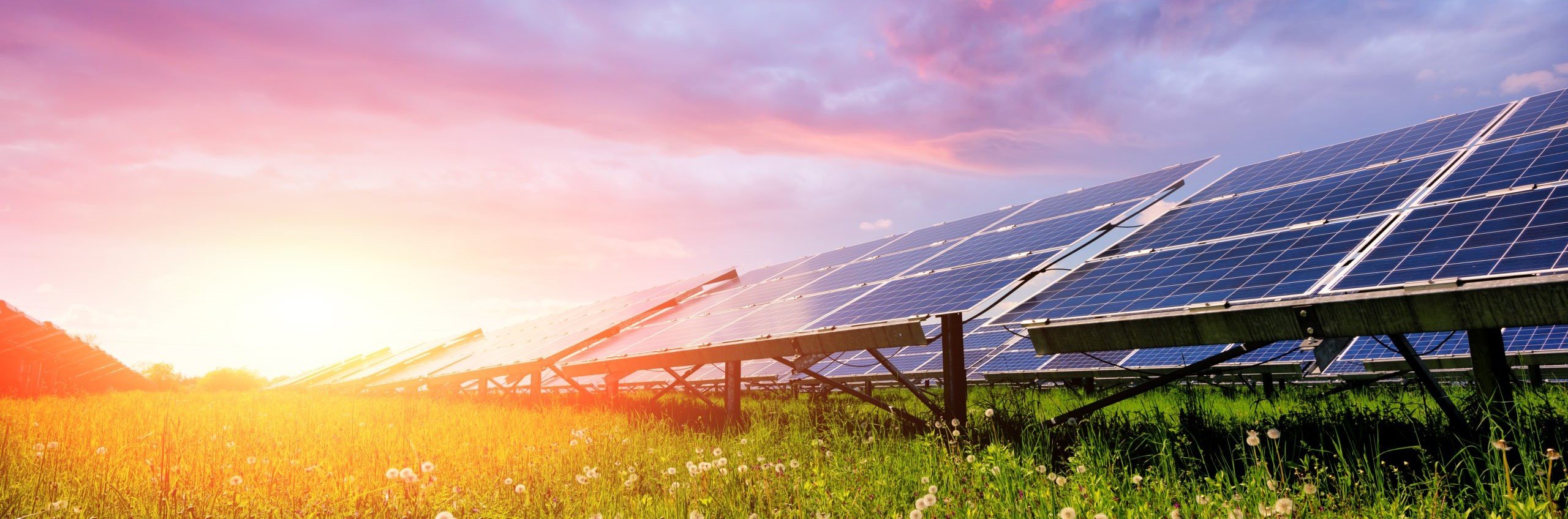 Solar Panels in field at sunset