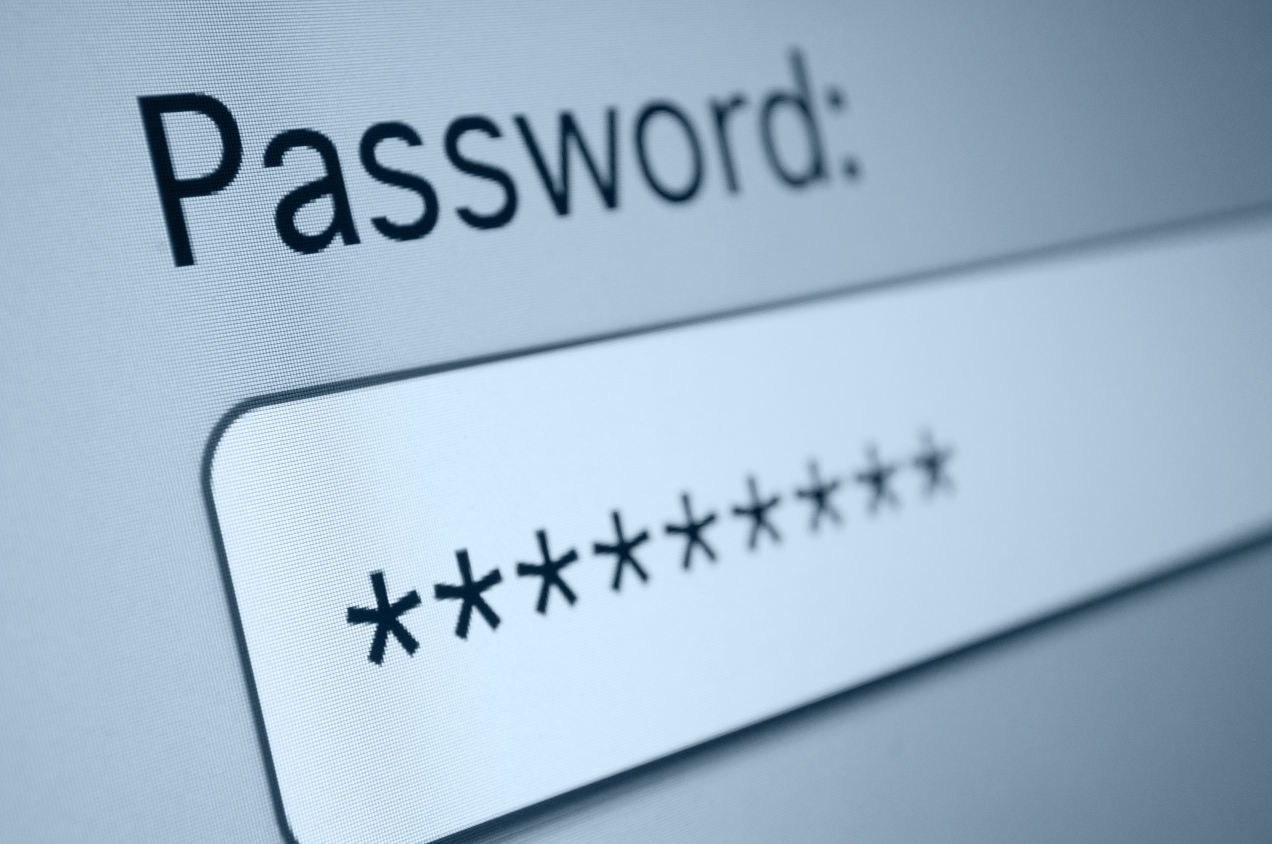 computer screen showing the word password.